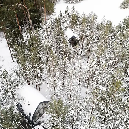 Jungle Дом отдыха