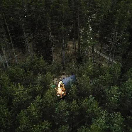 Jungle Дом отдыха